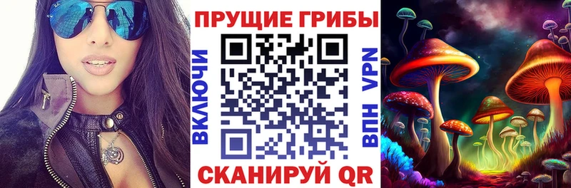 Псилоцибиновые грибы мицелий omg онион Ангарск