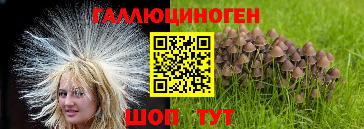 купить  сайты  Псилоцибиновые грибы мухоморы  Вход с VPN  Ангарск 