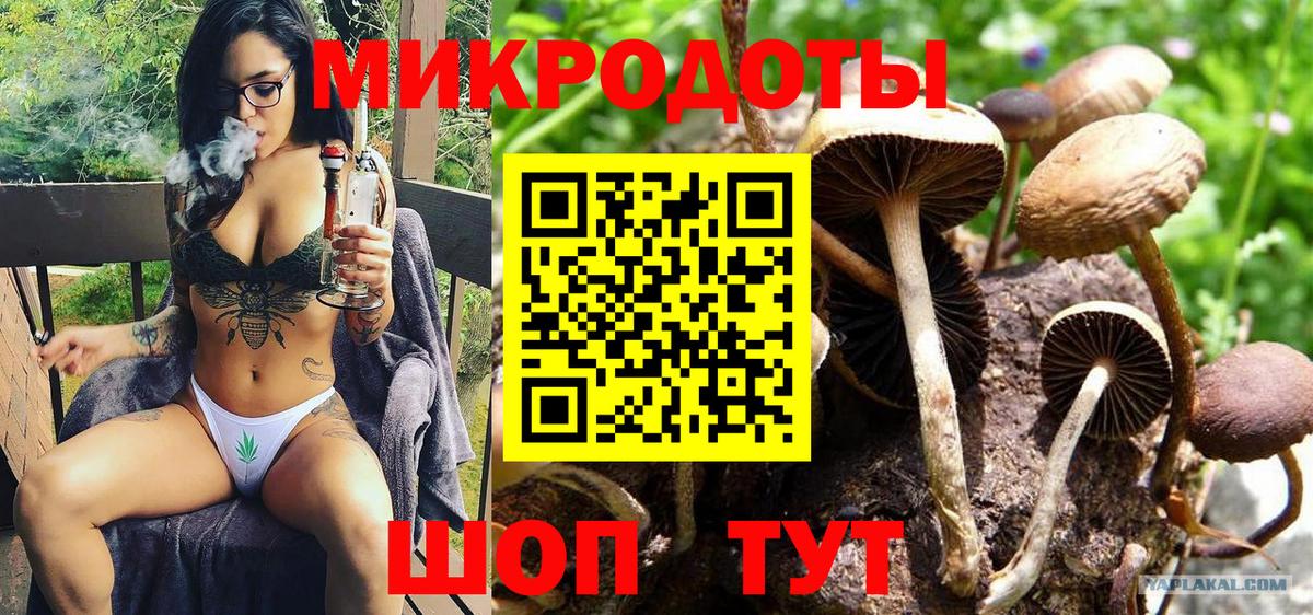 Галлюциногенные грибы прущие грибы Ангарск